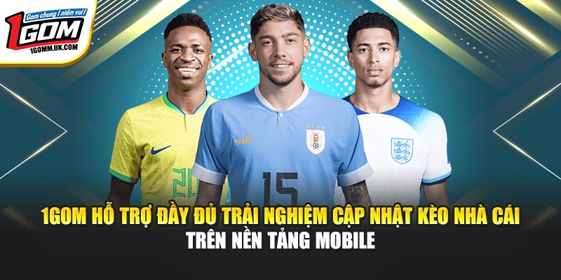 1GOM | Link Trang Chủ 1GOM Mới Nhất, Livescore Bóng Đá 07/2026 1GOM hỗ trợ đầy đủ trải nghiệm cập nhật kèo nhà cái trên nền tảng mobile