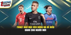 Thuật Ngữ Đọc Kèo Bóng Đá 1GOM Dễ Hiểu Dành Cho Người Mới
