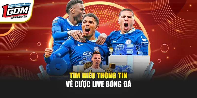 Mẹo Cược Live Bóng Đá Hiệu Quả Nhất Không Thể Bỏ Lỡ Tìm hiểu thông tin về cược live bóng đá