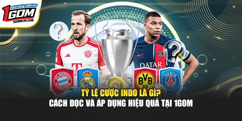 Tỷ Lệ Cược Indo Là Gì? Cách Đọc Và Áp Dụng Hiệu Quả Tại 1GOM